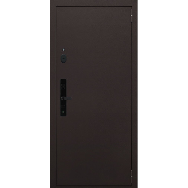 Стальная дверь "Комфорт" с зеркалом (биометрический замок Smart lock R06)